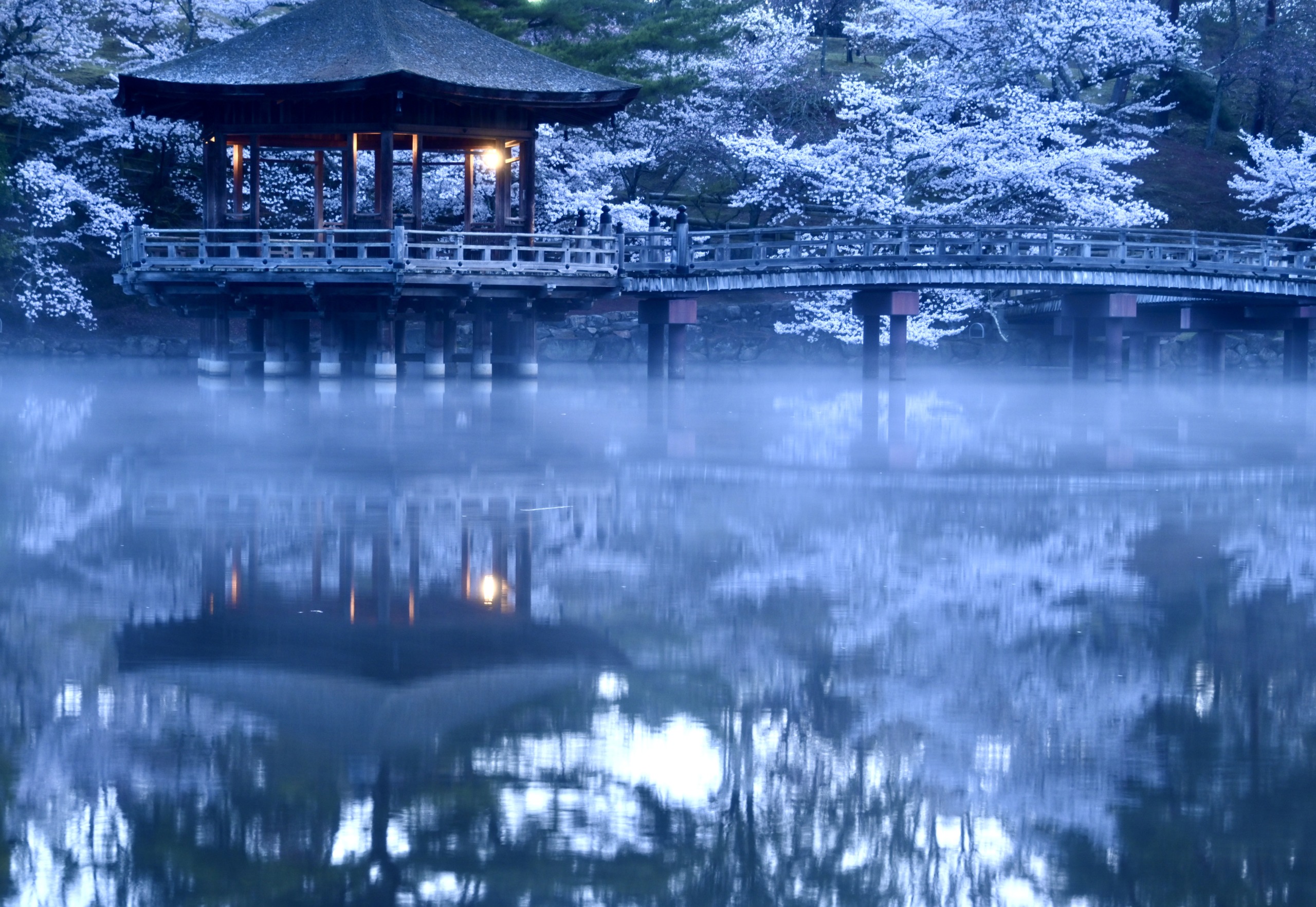春暁